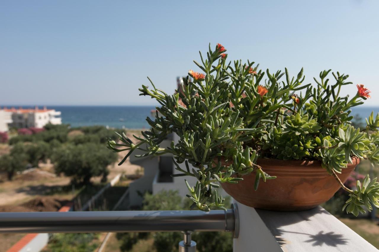 The House Of The Roses Διαμέρισμα Γερακινή Εξωτερικό φωτογραφία